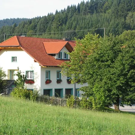 Gasthof Greiner Julbach