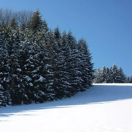 Gasthof Greiner 3* Julbach