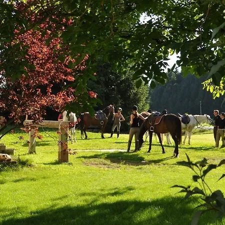 Gasthof Greiner Πανσιόν 3*