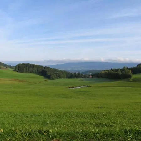 Gasthof Greiner Πανσιόν