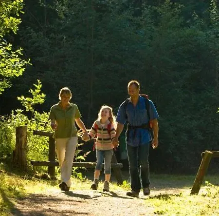 Πανσιόν Gasthof Greiner 3*