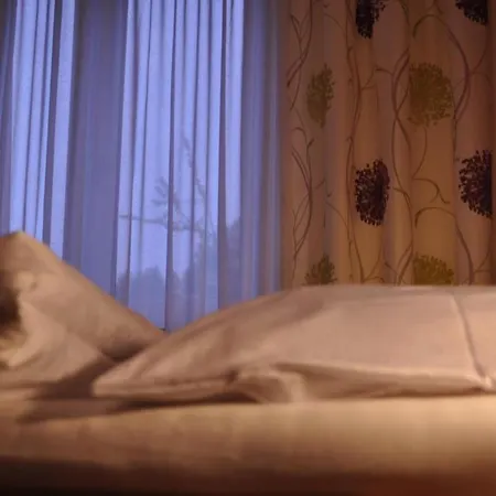 Πανσιόν Gasthof Greiner Julbach