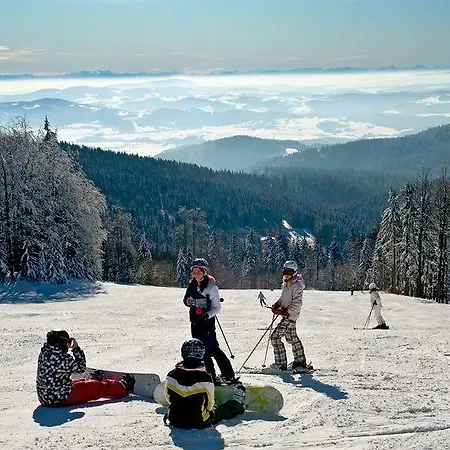 Πανσιόν Gasthof Greiner