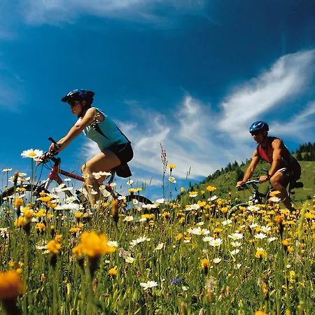 Πανσιόν Gasthof Greiner 3*