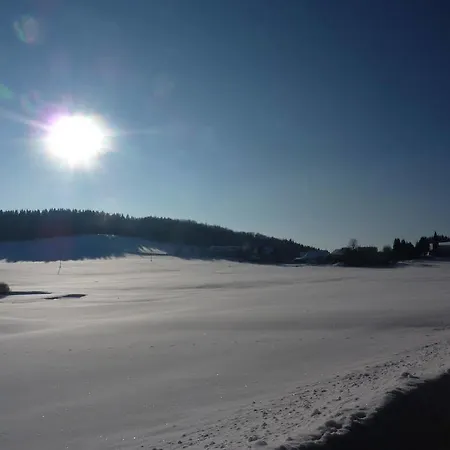 Gasthof Greiner 3* Julbach