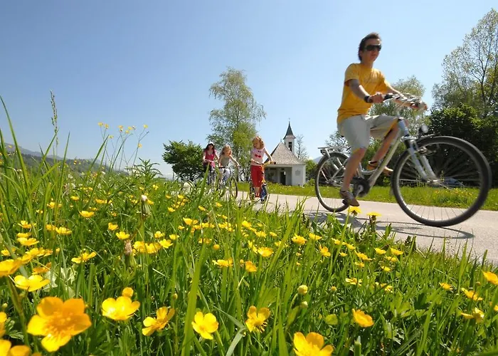 Gasthof Greiner 3* Julbach