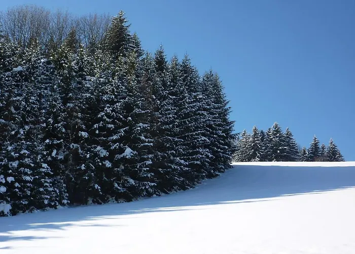 Gasthof Greiner 3* Julbach