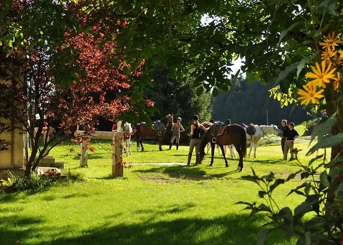 Gasthof Greiner Konukevi 3*