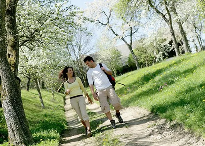 Gasthof Greiner Julbach