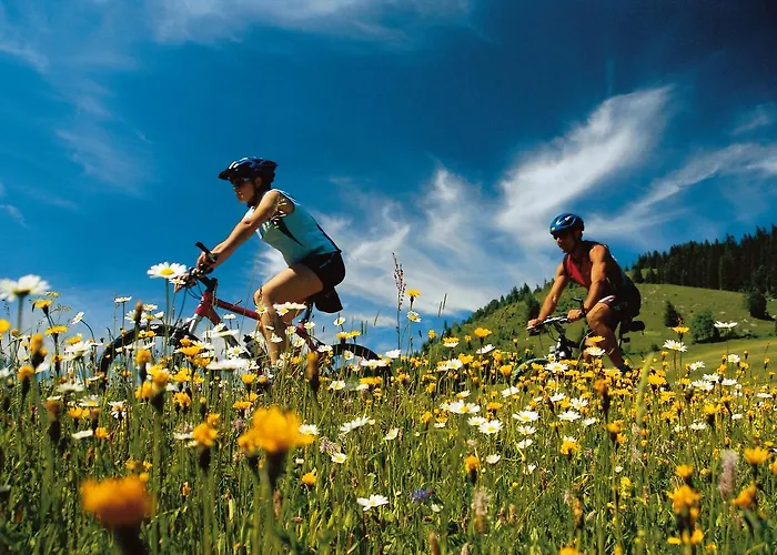 Konukevi Gasthof Greiner 3*