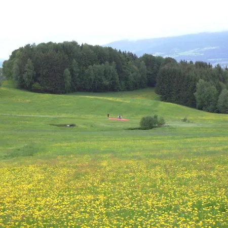Gasthof Greiner ゲストハウス