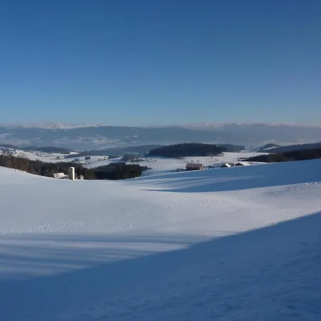 Gasthof Gasthof Greiner