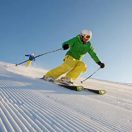 Gasthof Greiner 3*