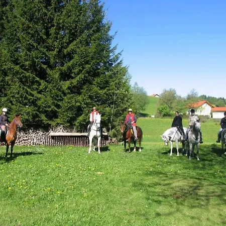 Gasthof Greiner Gasthof Julbach