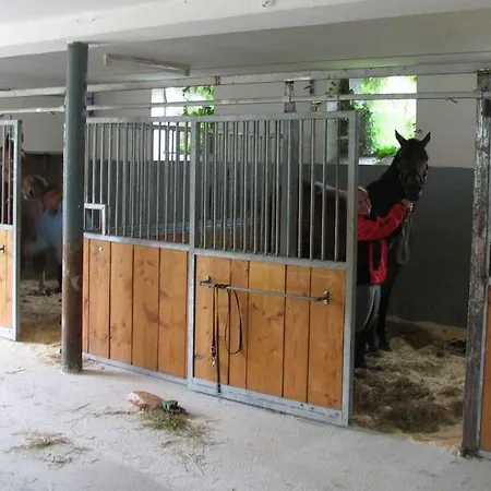 Gasthof Greiner Гостевой дом 3*