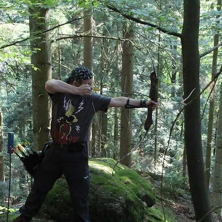 Gasthof Greiner Гостевой дом Julbach