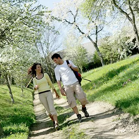 Gasthof Greiner Julbach