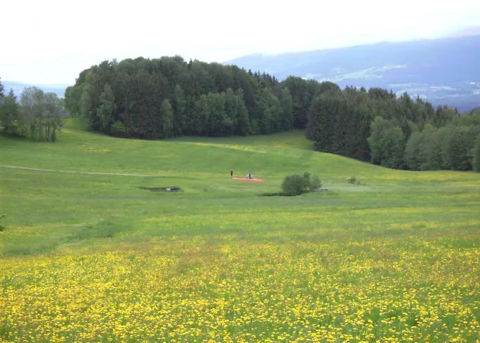 Gasthof Greiner Гостевой дом