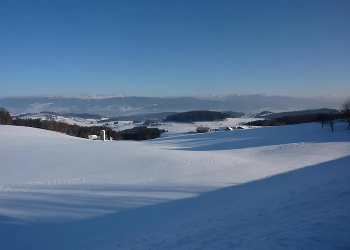 Гостевой дом Gasthof Greiner