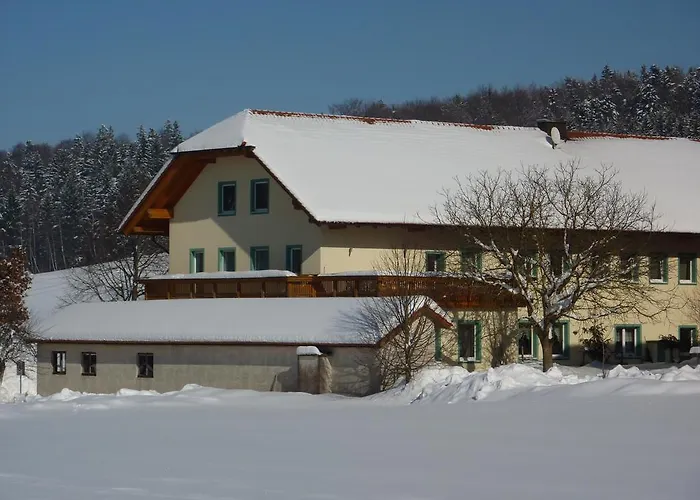 Гостевой дом Gasthof Greiner 3*