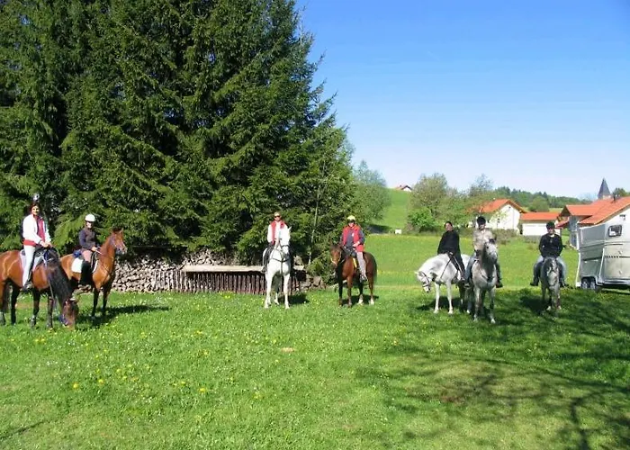 Gasthof Greiner Гостевой дом Julbach