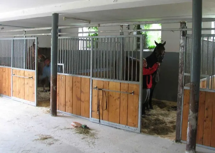 Gasthof Greiner Гостевой дом 3*