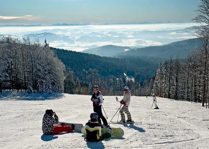 Гостевой дом Gasthof Greiner