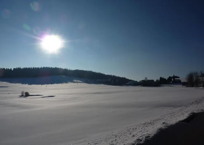 Gasthof Greiner 3* Julbach